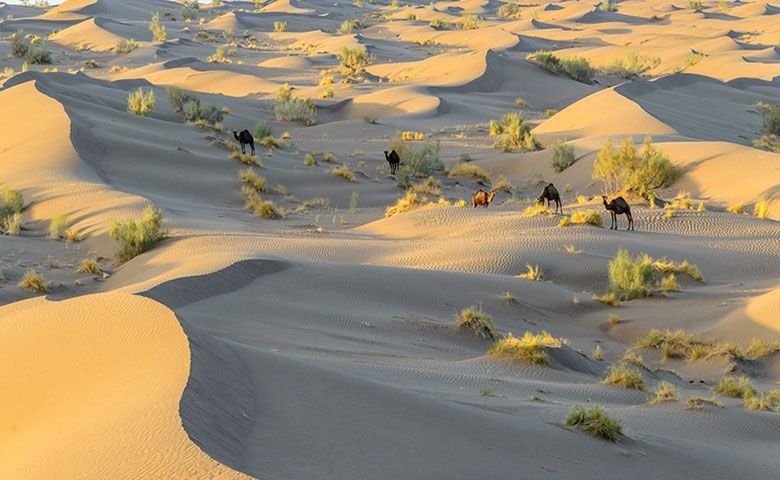 نکاتی که پیش از سفر به کویر مصر باید بدانید