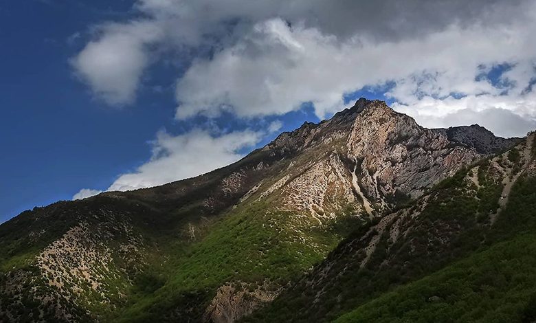 روایتی از گلستان: انگار که مهمان بهشت شده باشی ...