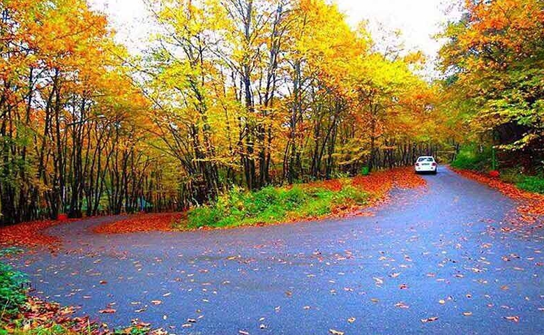 پاییز جنگل سراوان