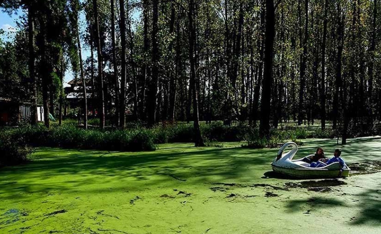 جنگل سراوان