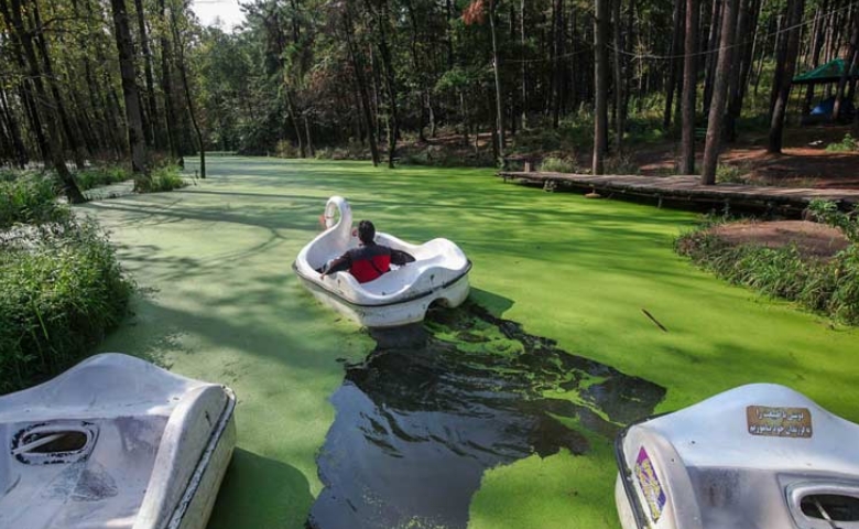 تفریحات پارک جنگلی سراوان