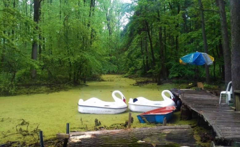 فاصله تهران تا سراوان