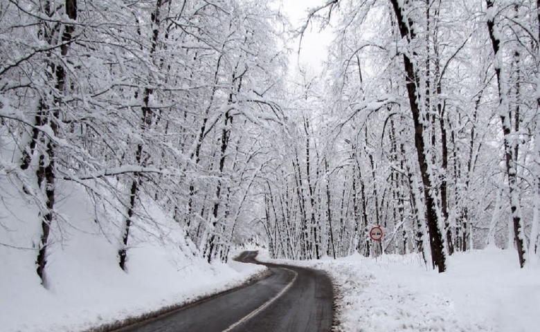 زمستان جنگل سراوان