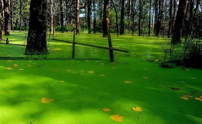 رنگ دریاچه سراوان