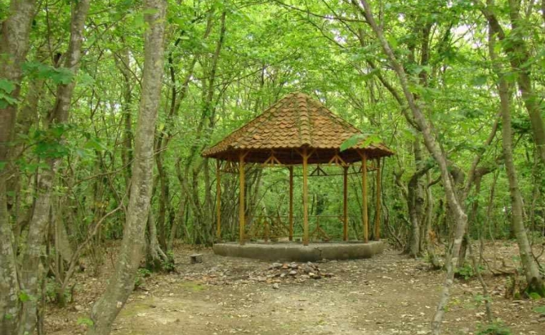 جاذبه های پارک جنگلی سراوانه