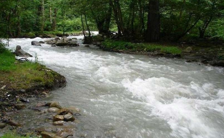 رودخانه پلنگ ور