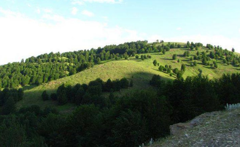 ییلاق آندره