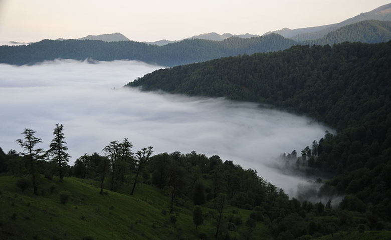 دیدنی های فومن