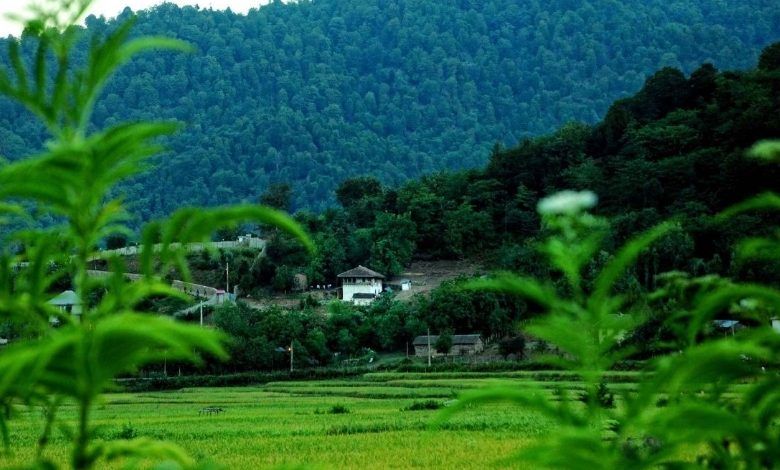 جاهای دیدنی فومن، از معروف تا ناشناختههای طبیعت و بازار!