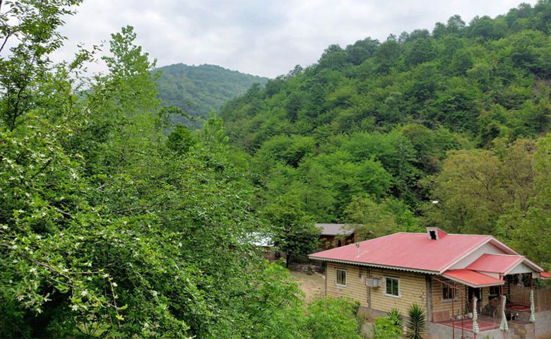 ویلا دو خوابه جنگلی عارف ماسال