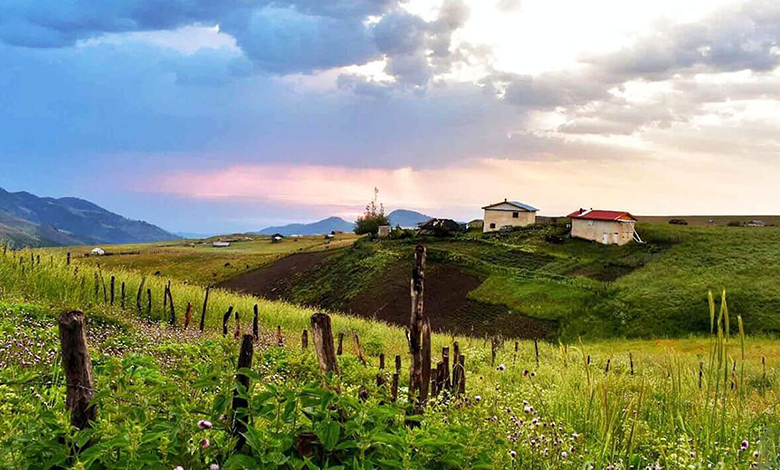 تابستان کجا بریم؟