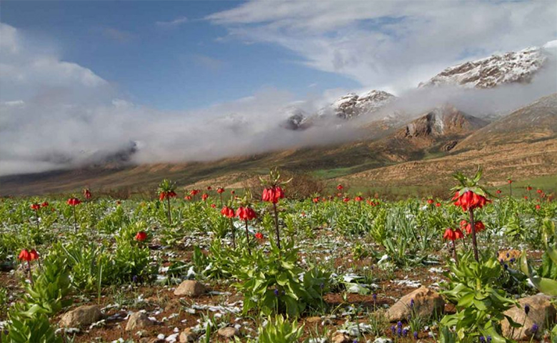 شهرکرد، بام سرسبز ایران