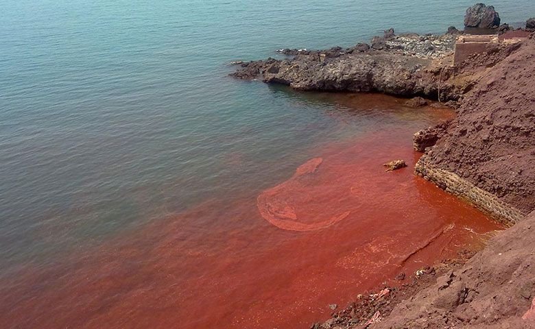 سایر جاهای دیدنی هرمز