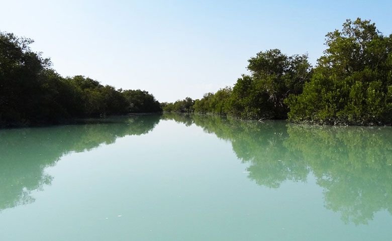 جنگل حرا هرمز