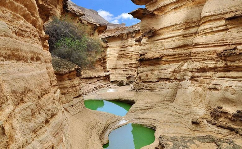 درباره-قشم.jpg