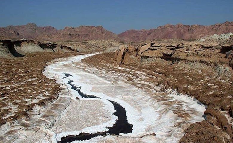کاسه-سلخ.jpg
