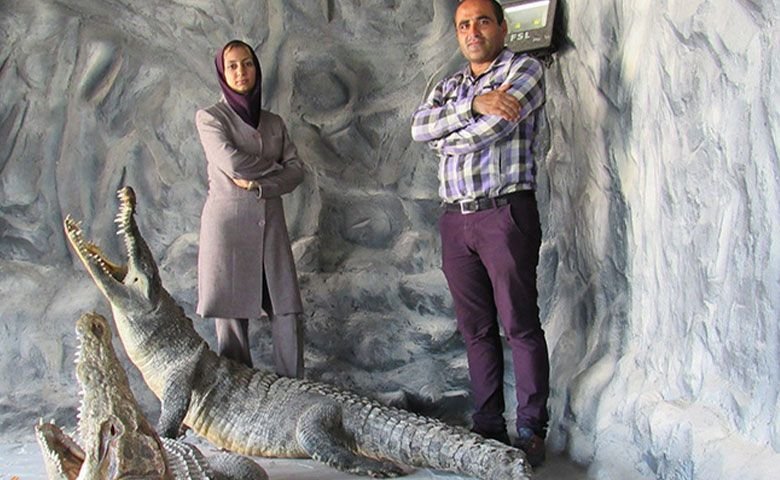 پارک-کروکودیل-قشم.jpg