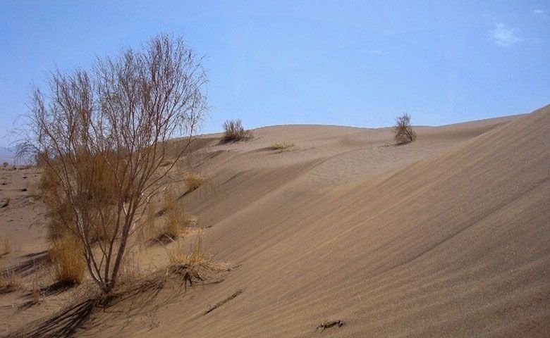 بهترین روش اقامت در کویر