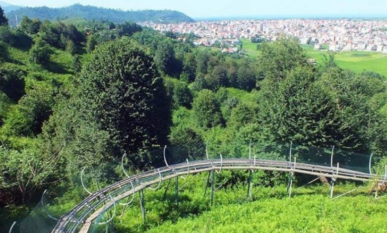 16 مورد از بهترین پارک های جنگلی تهران، ریههای سبز پایتخت!