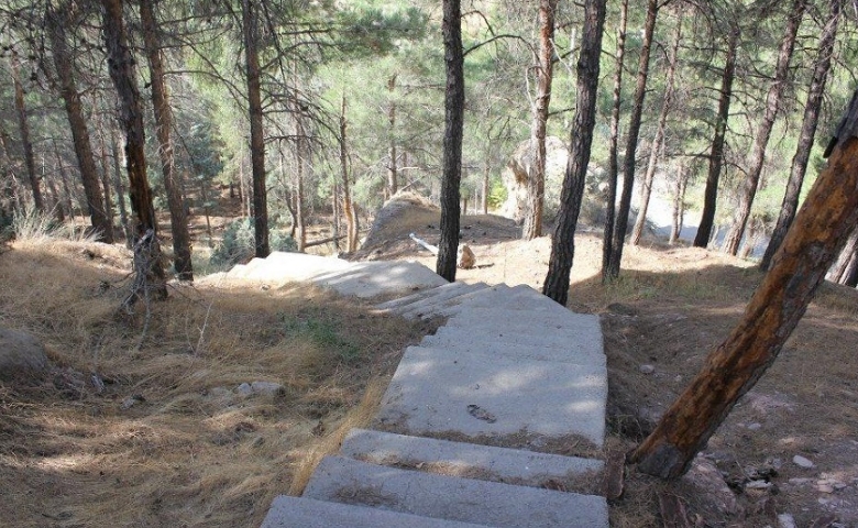 پارک جنگلی خجیر