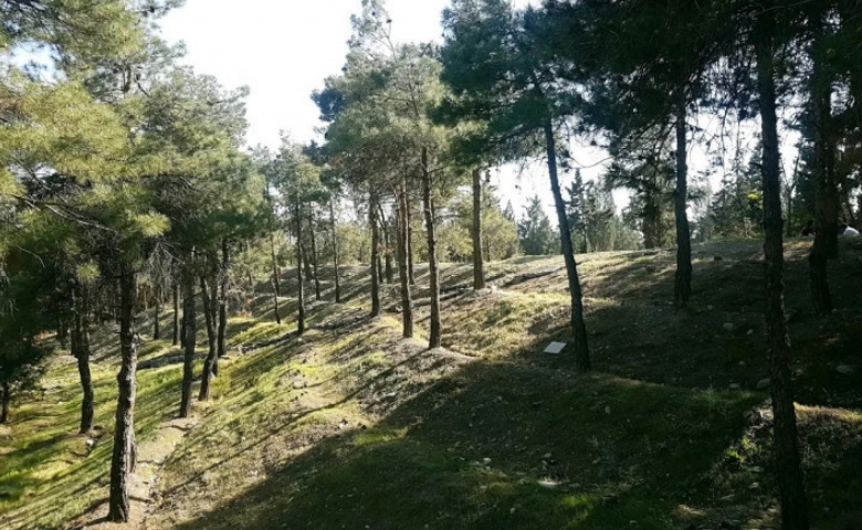 پارک جنگلی خرگوش دره تهران