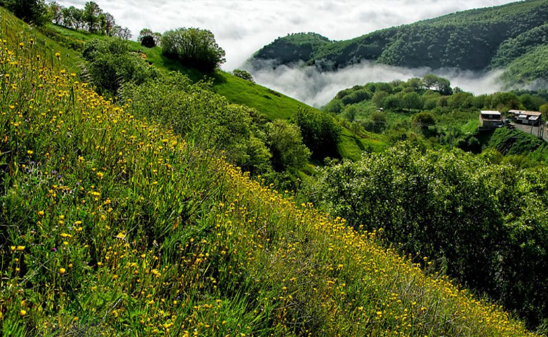 سردشت کجاست؛ راهنمای سفر و خرید سوغات به همراه عکس
