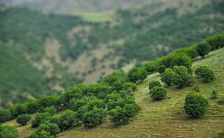 طبیعت سردشت