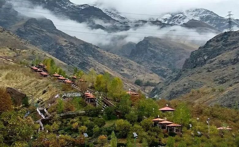 پرنده-نگری.jpg