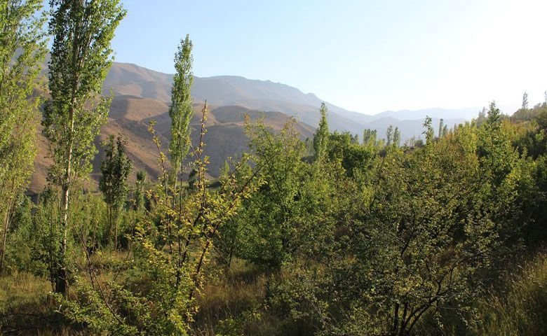 طبیعت‌گردی-و-کوه‌پیمایی.jpg