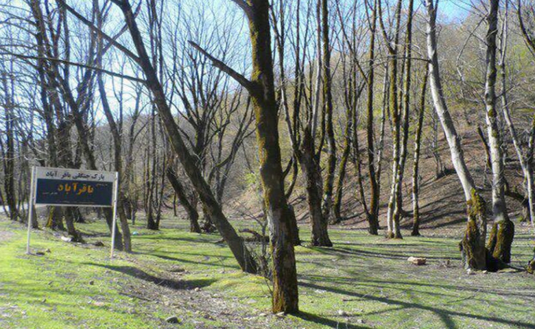 بوستان جنگلی باقرآباد