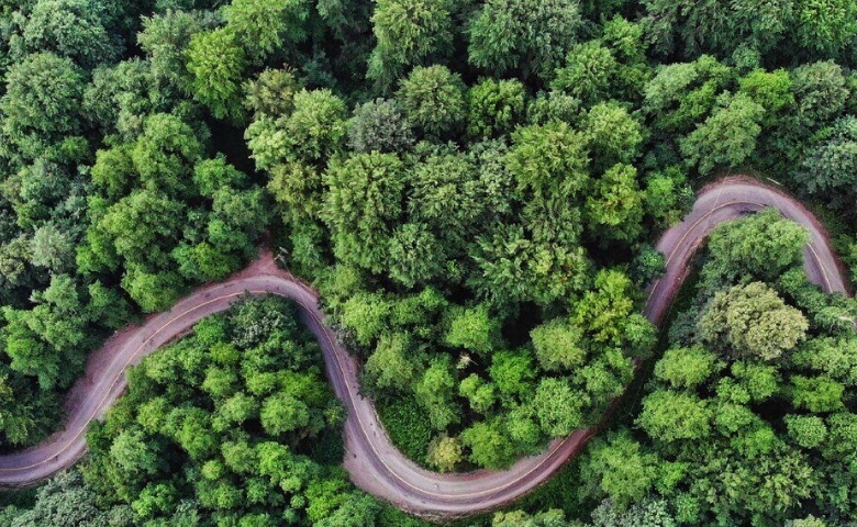پارک ملی گلستان
