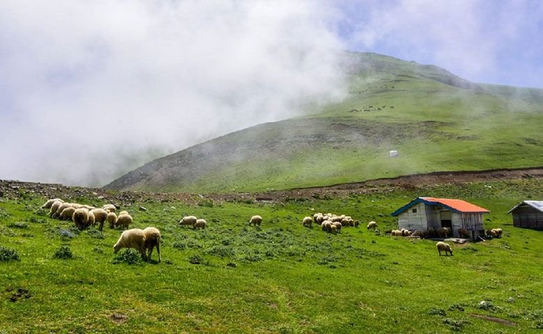 ییلاق-خندیله-پشت.jpg