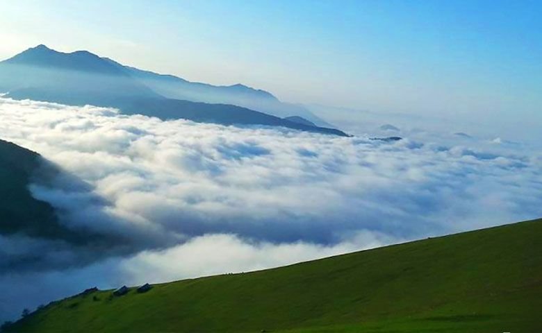 عکاسی.jpg