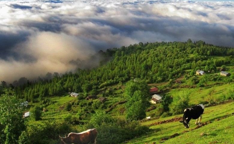 ییلاق-تلارگاه.jpg