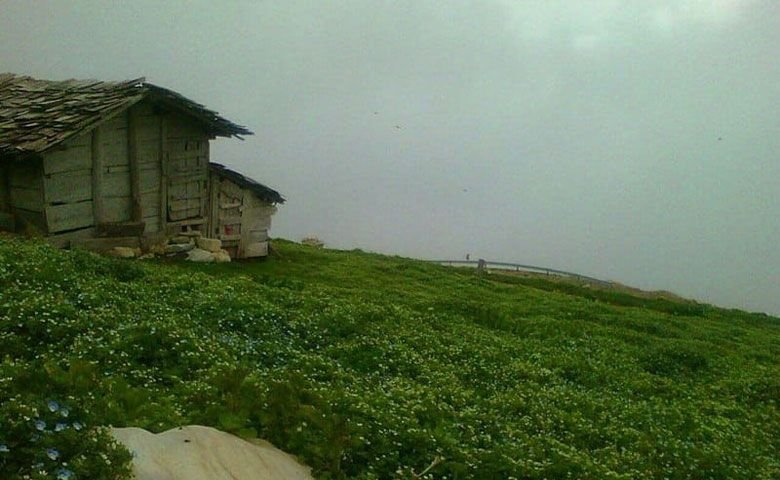 ییلاق-اسپی-دشت.jpg