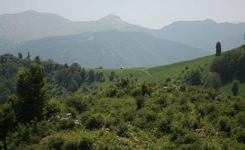 پیک-نيك.jpg