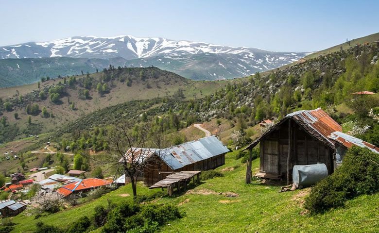 بام-سبز-ماسال.jpg