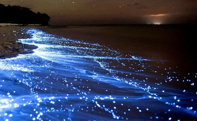 ساحل نقره ای درخشان هرمز