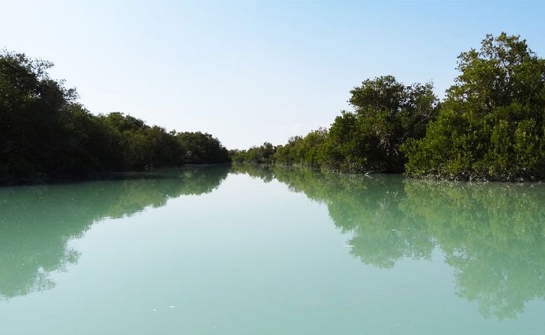 جنگل حرا هرمز