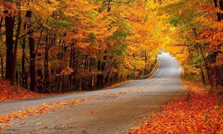 پارک جنگلی النگدره گرگان: عکس، راه های دسترسی و جاذبهها