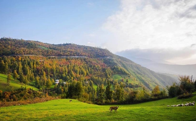 ییلاقات عمارلو