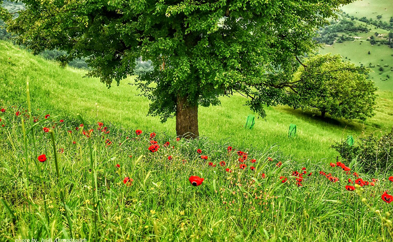 ییلاقات رودبار