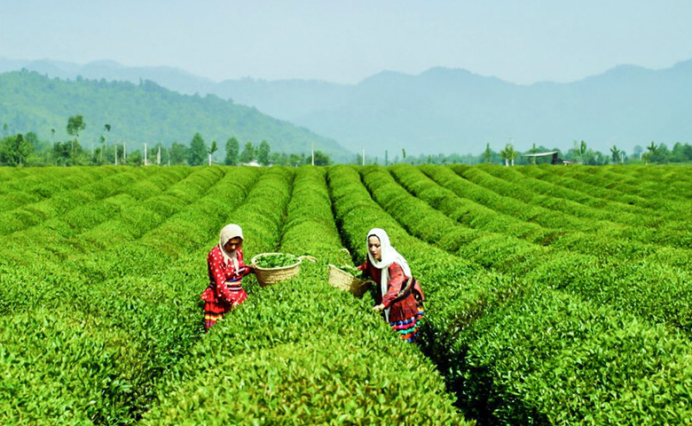 دیدنی های رودبار