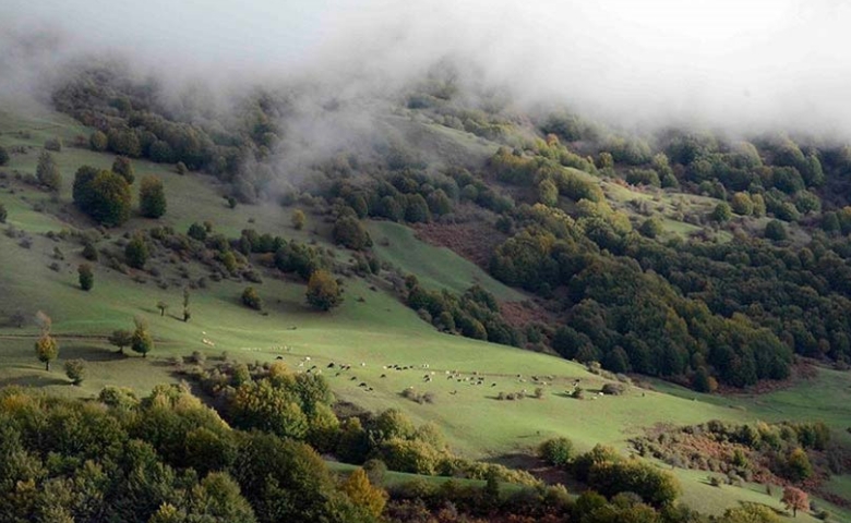 جاهای دیدنی رودبار در تابستان