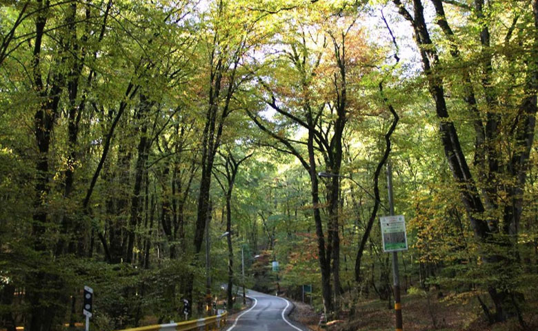 زیبایی مسیر تهران تا گرگان