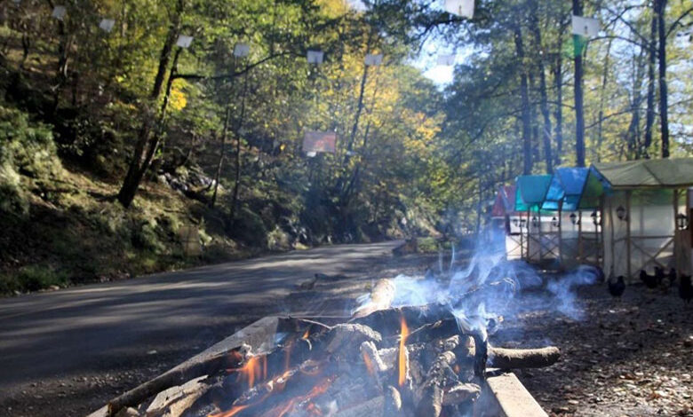 از ساحل تا جنگل از چالوس تا عباس آباد