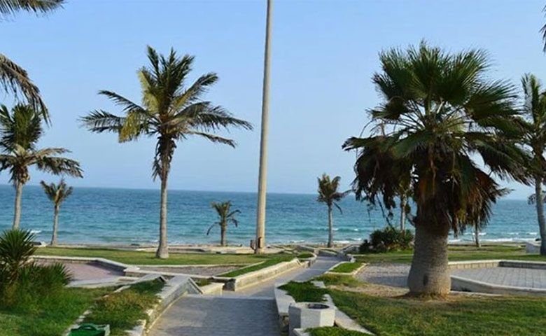 پارک-زیتون-قشم.jpg