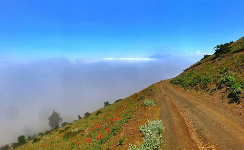 آب و هوای ییلاق سلانسر