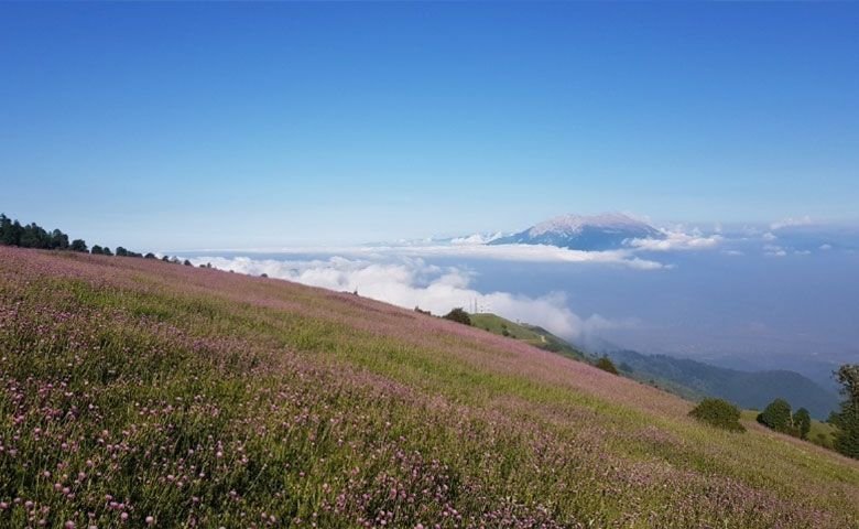 فاصله رشت تا سلانسر