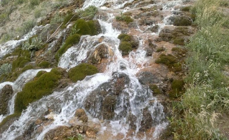 کمپینگ-در-طبیعت.jpg